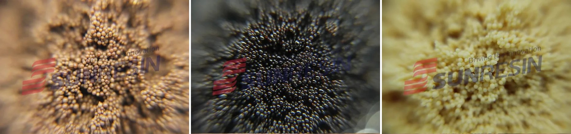 888���ſƼ��ɹ�������֪��2020���ר��ר��������Ŀ